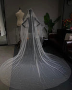 Long Ivory Pearl Veil